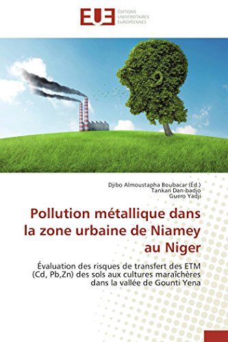 Pollution Mtallique Dans la Zone Urbaine de Niamey Au Niger [Paperback]