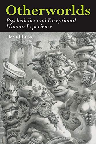 Otherworlds Psychedelics and Exceptional Human Experience [Paperback]
