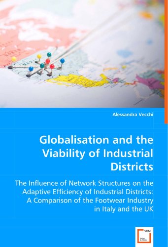 Globalisation and the Viability of Industrial Districts [Paperback]
