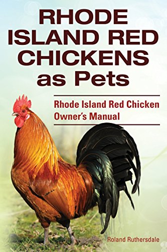Rhode Island Red Chickens As Pets. Rhode Island Red Chicken Owner's Manual [Paperback]