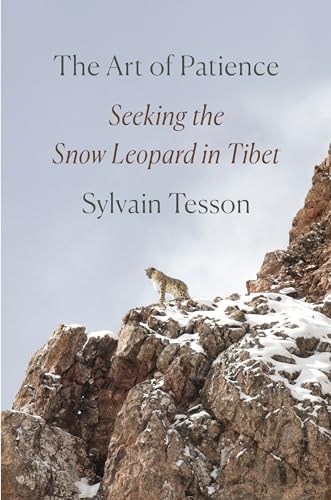 The Art of Patience Seeking the Snow Leopard in Tibet [Hardcover]