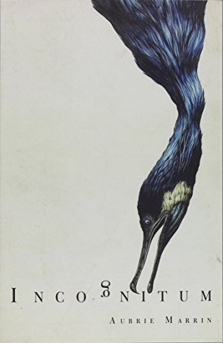 Incognitum [Paperback]