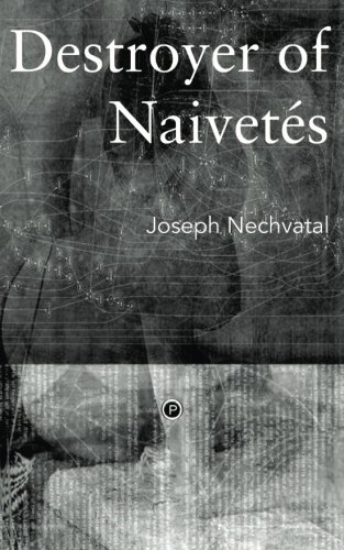 Destroyer Of Naivets [Paperback]