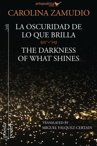La Oscuridad De Lo Que Brilla / The Darkness Of What Shines (spanish Edition) [Paperback]