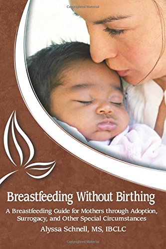 Breastfeeding Without Birthing A Breastfeeding Guide For Mothers Through Adopti [Paperback]
