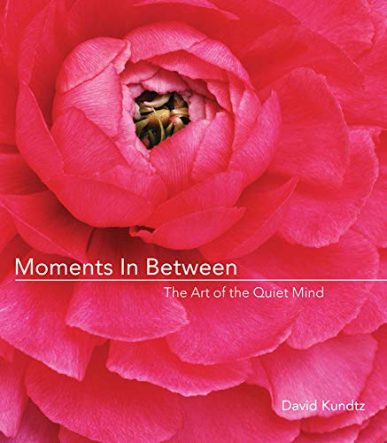 Moments in Between The Art of the Quiet Mind [Hardcover]