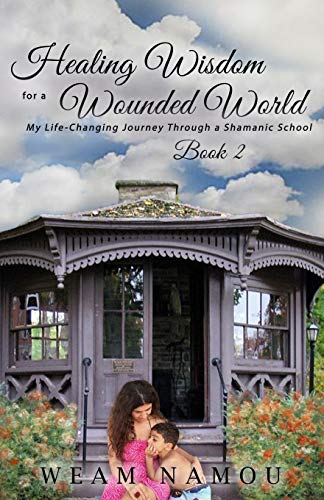 Healing Wisdom For A Wounded World My Life-Changing Journey Through A Shamanic  [Paperback]