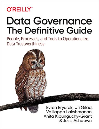 Data Governance The Definitive Guide People, Processes, and Tools to Operation [Paperback]