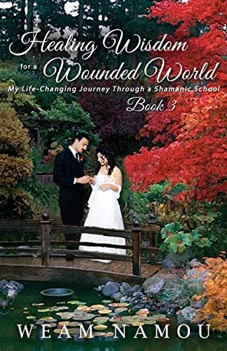 Healing Wisdom For A Wounded World My Life-Changing Journey Through A Shamanic  [Paperback]