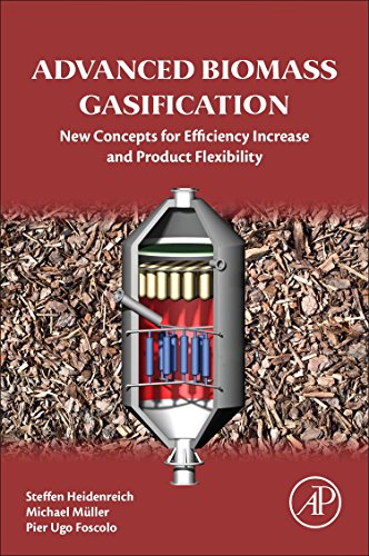 Advanced Biomass Gasification New Concepts for Efficiency Increase and Product  [Paperback]