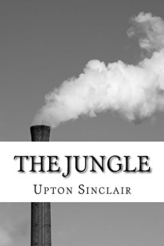 Jungle [Paperback]