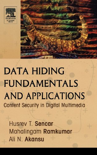 Data Hiding Fundamentals and Applications Content Security in Digital Multimedi [Hardcover]