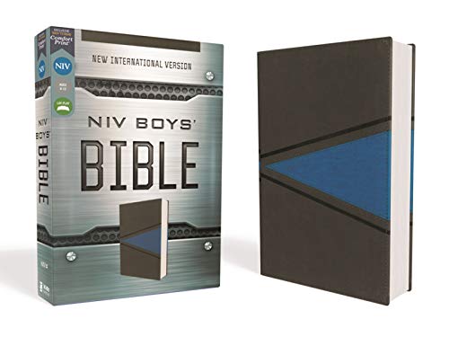 NIV, Boys' Bible, Leathersoft, Gray/Blue, Comfort Print [Leather / fine bindi]
