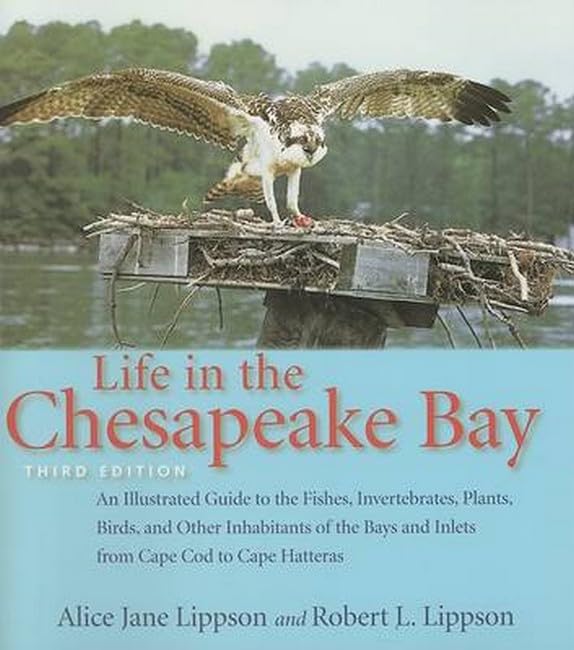 Life in the Chesapeake Bay [Paperback]