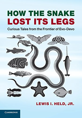 How the Snake Lost its Legs Curious Tales from the Frontier of Evo-Devo [Paperback]