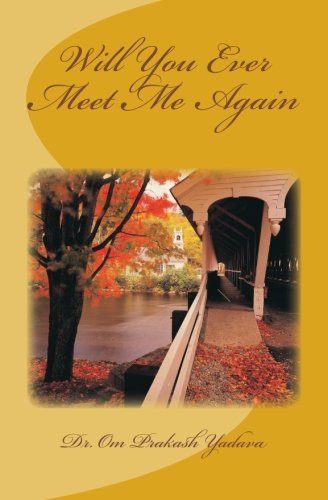 Will You Ever Meet Me Again [Paperback]