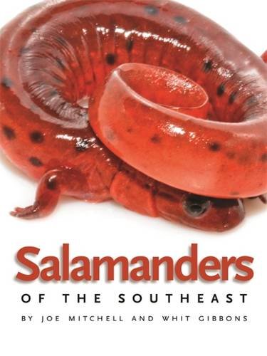 Salamanders of the Southeast [Paperback]