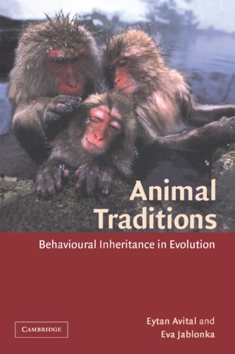 Animal Traditions Behavioural Inheritance in Evolution [Paperback]