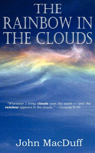 The Rainbow In The Clouds [Paperback]