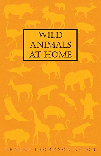 Wild Animals At Home [Paperback]