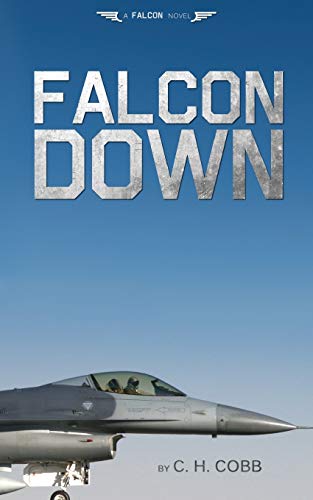 Falcon Down (falcon Series) (volume 1) [Paperback]