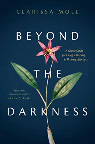 Beyond the Darkness A Gentle Guide for Living with Grief and Thriving after Los [Paperback]