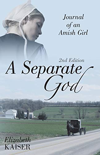Separate God  Journal of an Amish Girl [Paperback]