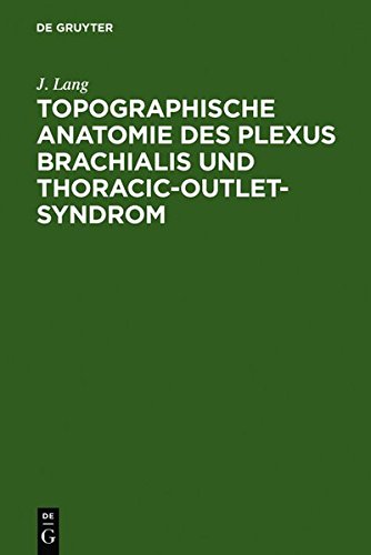 Topographische Anatomie des Plexus Brachialis und Thoracic-Outlet-Syndrom [Hardcover]