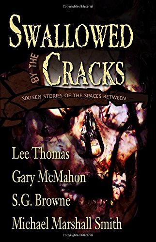 Swallowed by the Cracks  Sixteen Stories of the Spaces Between [Paperback]