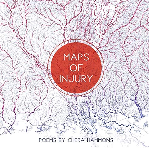 Maps of Injury [Paperback]