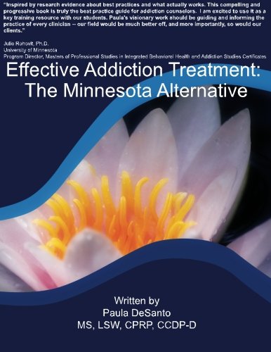 Effective Addiction Treatment The Minnesota Alternative (volume 1) [Paperback]
