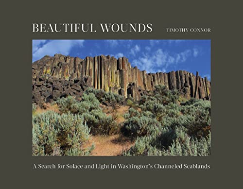 Beautiful Wounds A Search for Solace and Light in Washington's Channeled Scabla [Hardcover]
