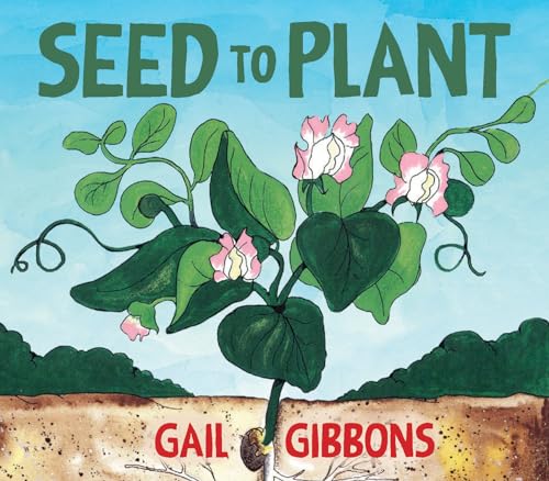 Seed to Plant [Board book]