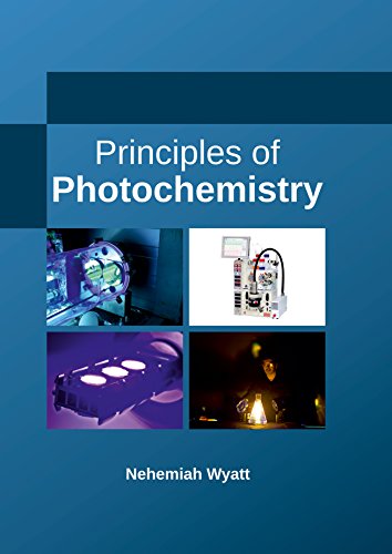Principles Of Photochemistry [Hardcover]