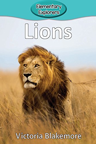 Lions (elementary Explorers) [Paperback]