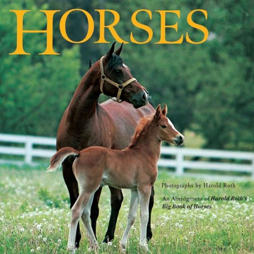 Horses An Abridgement of Harold Roth's Big Book of Horses [Paperback]