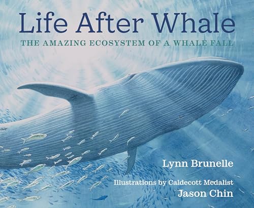 Life After Whale The Amazing Ecosystem of a Whale Fall [Hardcover]