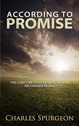 According To Promise [Paperback]
