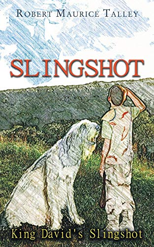 Slingshot King David's Slingshot [Paperback]
