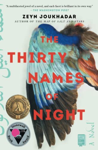 The Thirty Names of Night A Novel [Paperback]