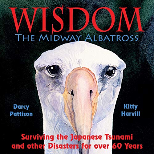 Wisdom, The Midway Albatross Surviving The Japanese Tsunami And Other Disasters [Paperback]
