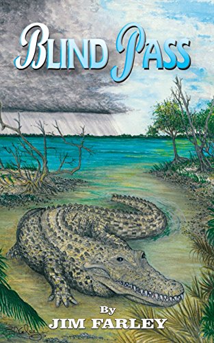 Blind Pass [Paperback]