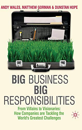 Big Business, Big Responsibilities From Villains to Visionaries How Companies  [Hardcover]
