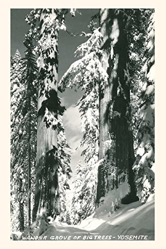 Vintage Journal Wawona Grove Of Big Trees, Yosemite