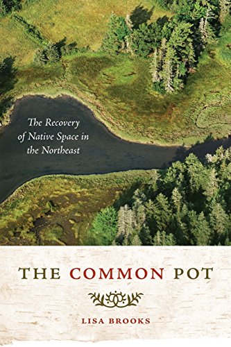 The Common Pot The Recovery of Native Space in the Northeast [Paperback]