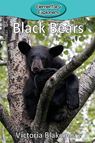 Black Bears (elementary Explorers) [Paperback]