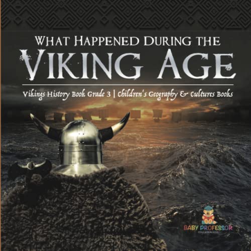 What Happened During The Viking Age | Vikings History Book Grade 3 | Children's