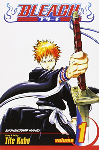 Bleach, Vol. 1 [Paperback]