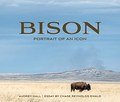 Bison Portrait Of An Icon                [CLOTH               ]