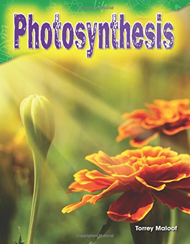 Photosynthesis (science Readers) [Perfect Paperback]